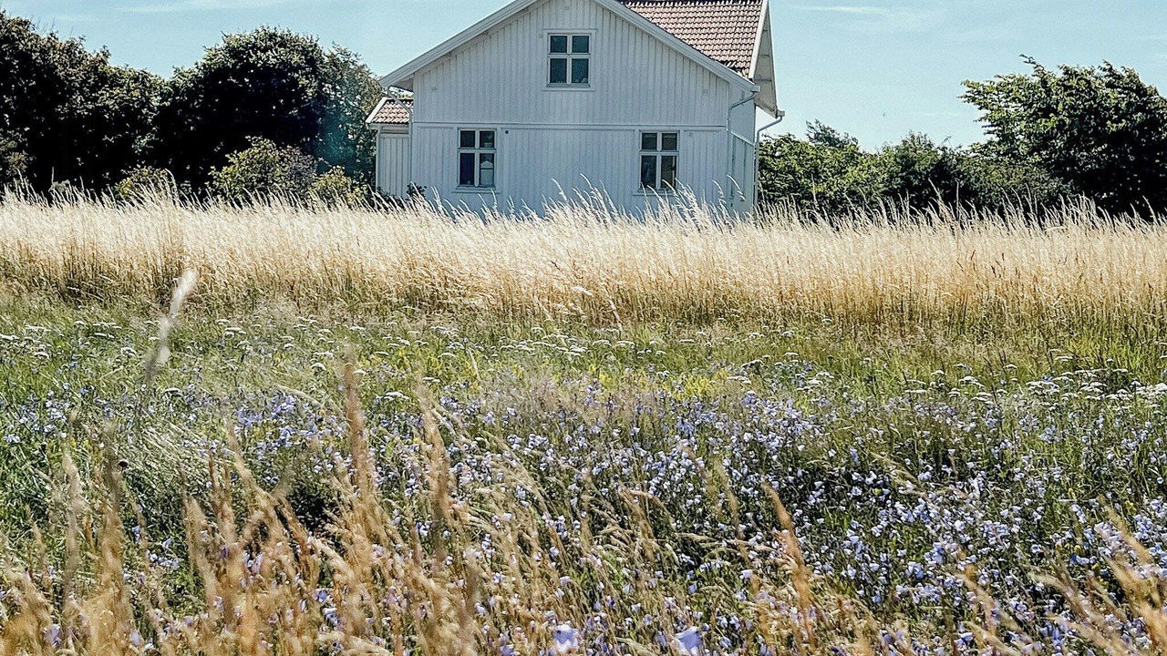 Photo of Outdoor in Vastra Gotaland County