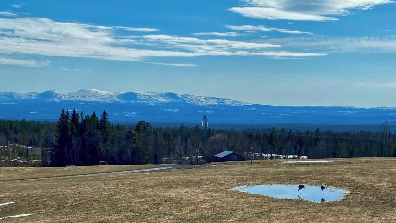 Photo of Others in Trangsviken
