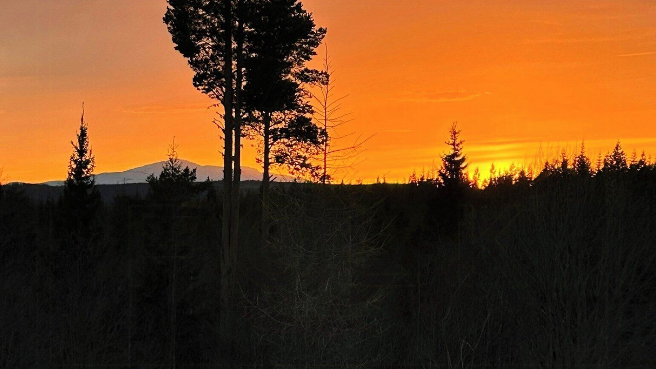 Photo of Others in Trangsviken