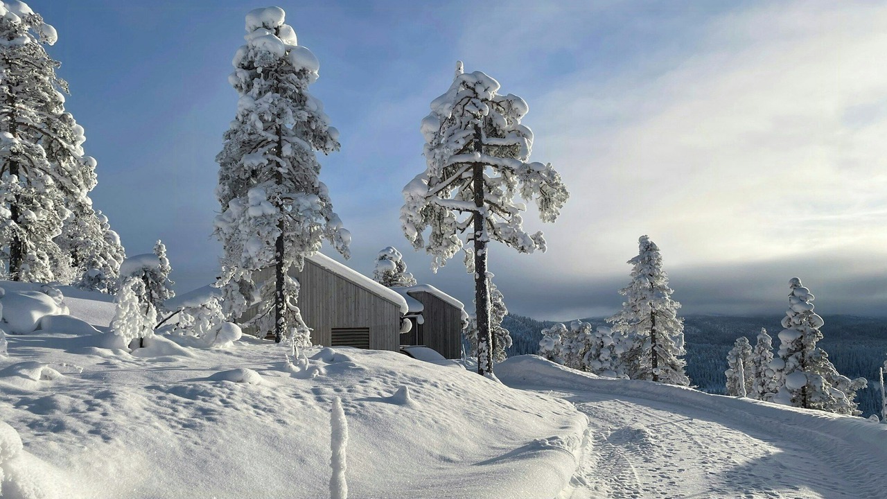 Photo of Others in Sigdal Municipality