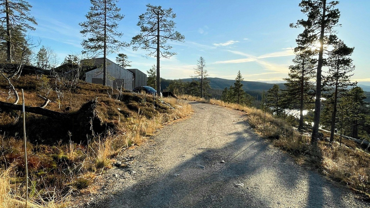 Photo of Others in Sigdal Municipality