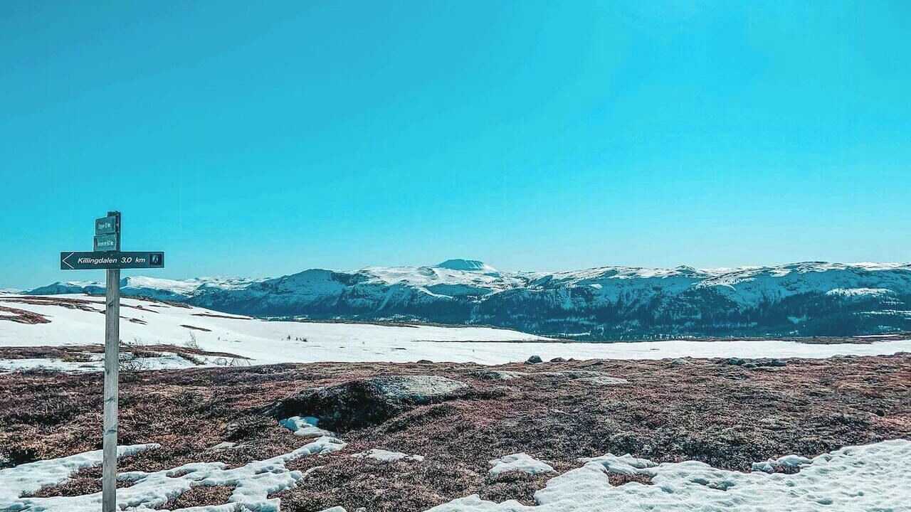 Photo of Others in Rollag