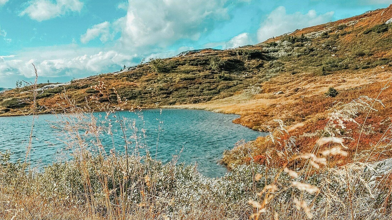 Photo of Others in Rollag
