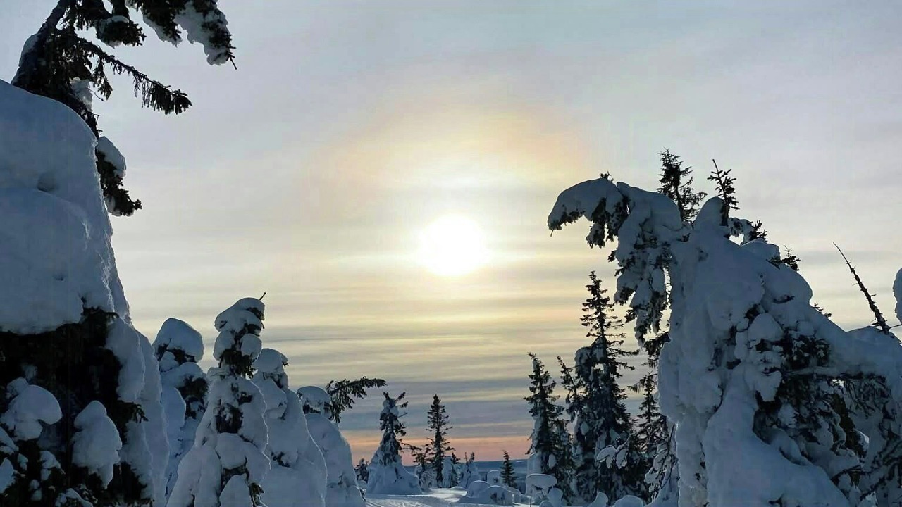 Photo of Others in Trysil