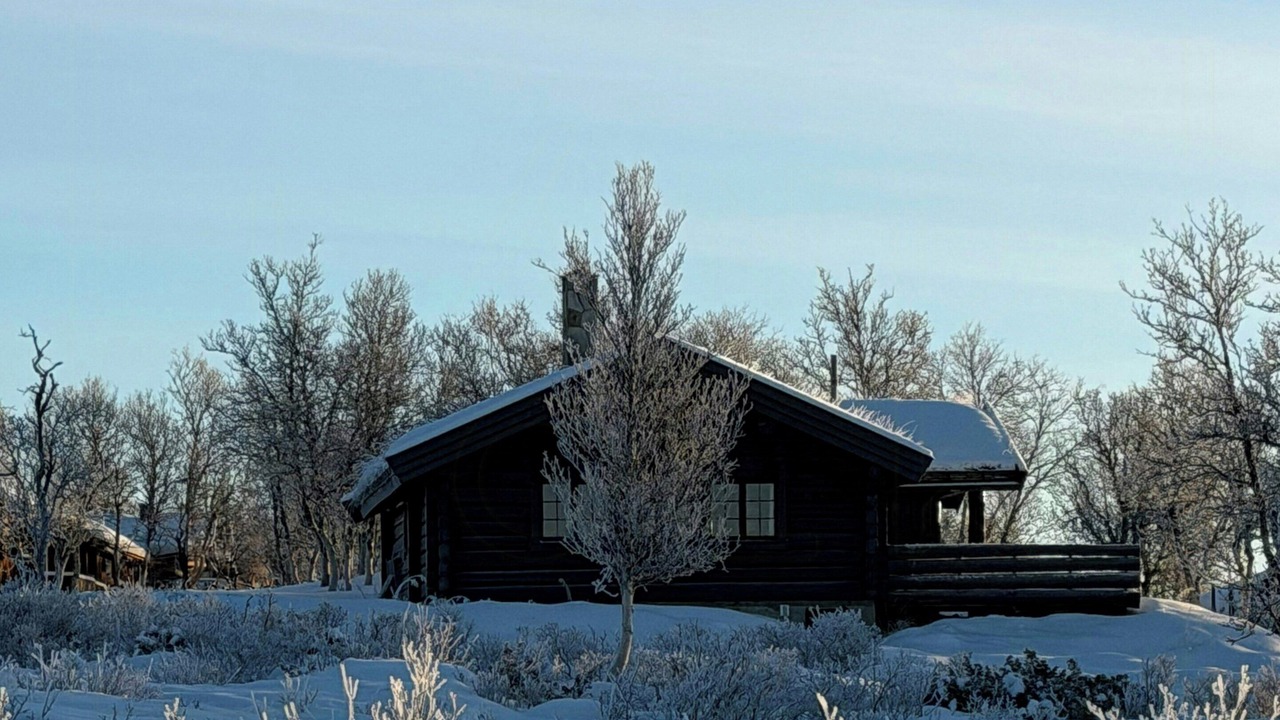 Photo of Outdoor in Al
