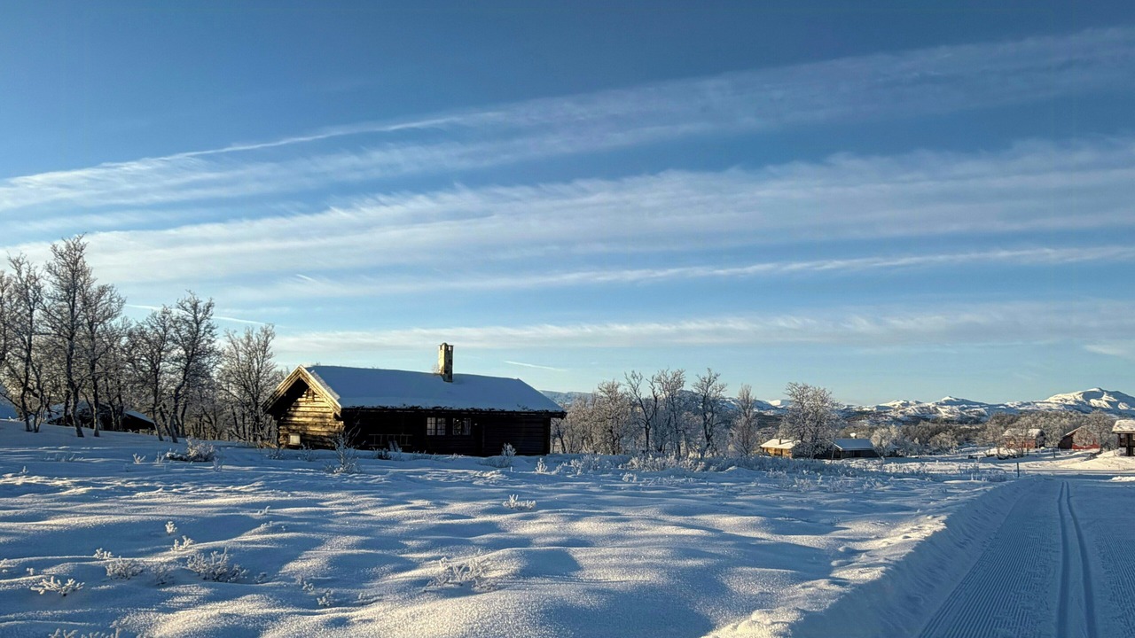 Photo of Outdoor in Al