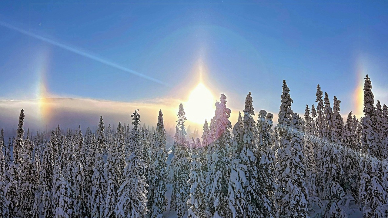 Photo of Others in Mælem