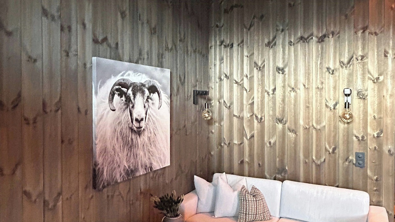 Photo of Livingroom in Mælem