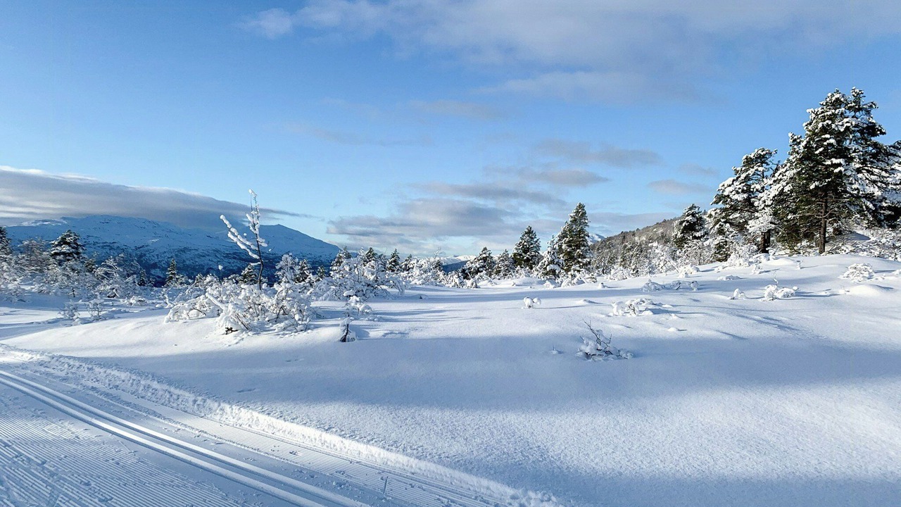Photo of Others in Stryn