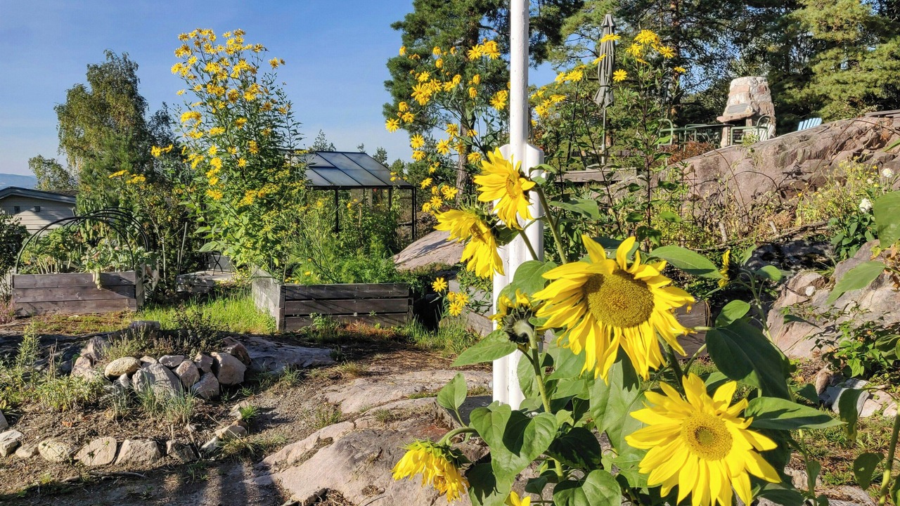 Photo of Outdoor in Nesodden