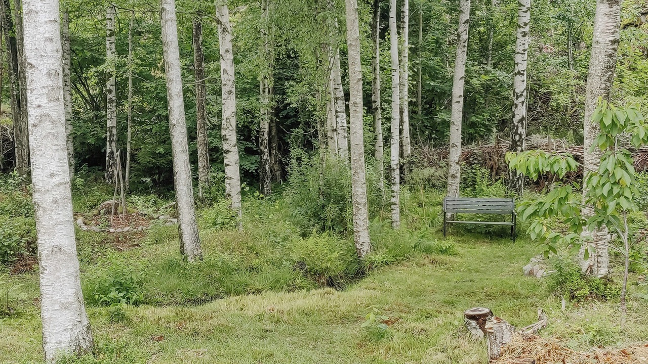 Photo of Others in Nesodden
