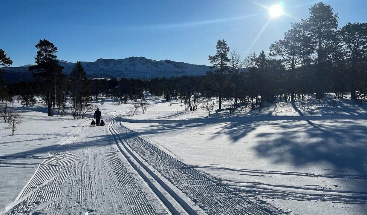 Photo of Others in Rennebu
