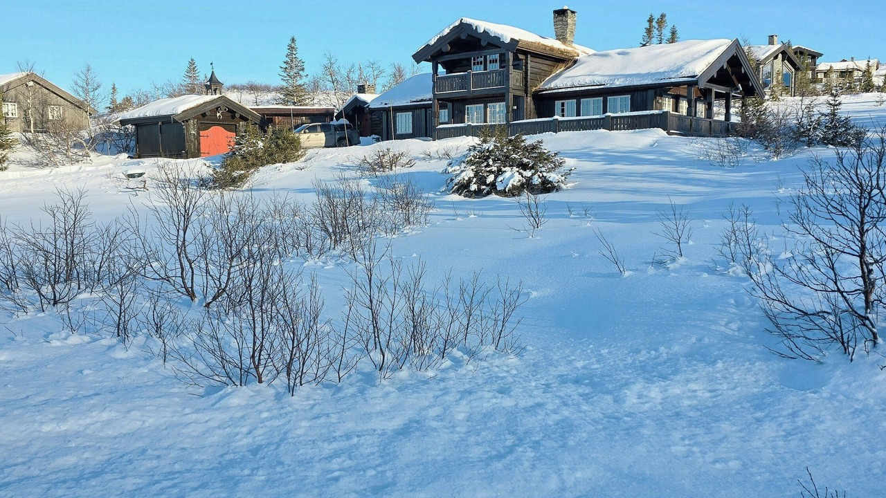 Photo of Outdoor in Fla Municipality