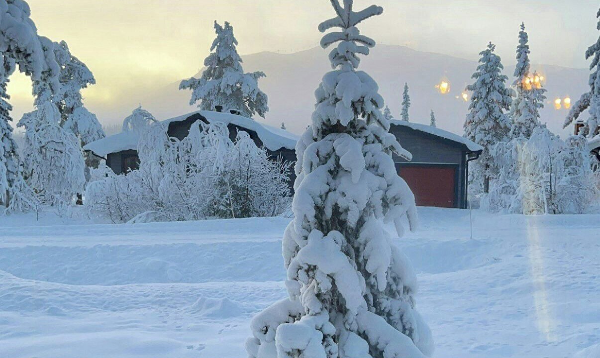 Photo of Others in Mælem
