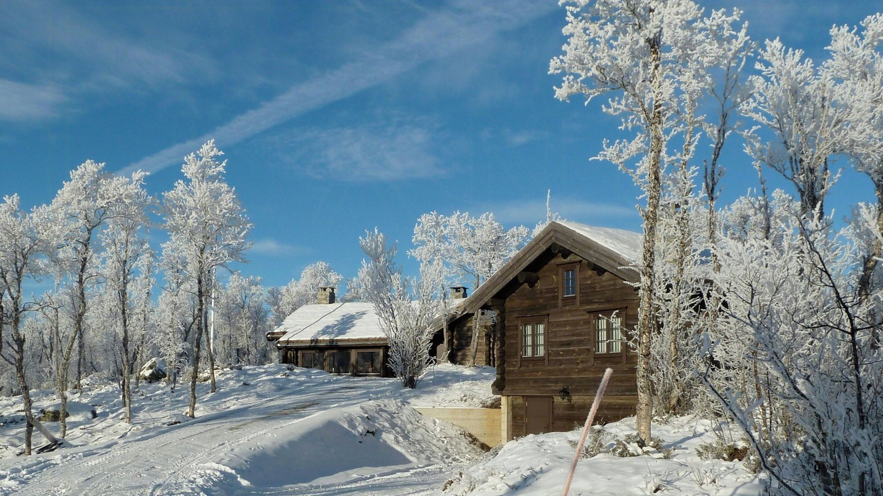 Photo of Outdoor in Al Municipality