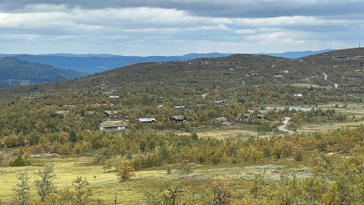 Photo of Others in Al Municipality