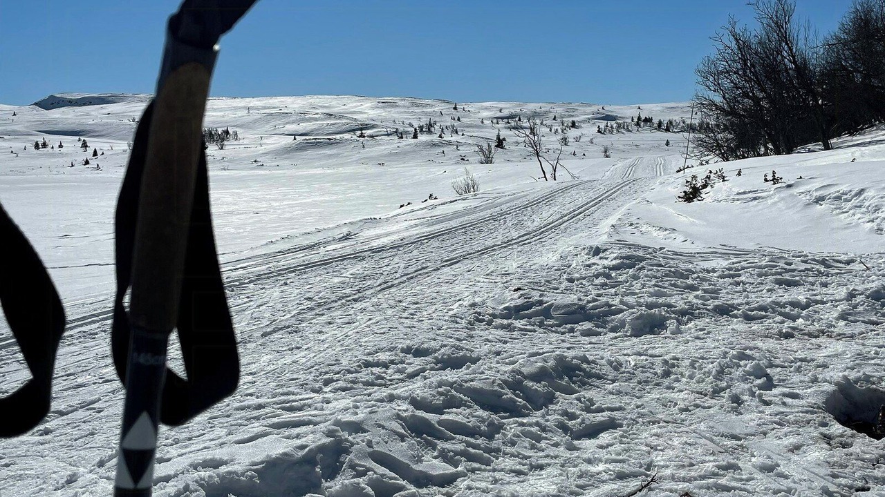 Photo of Others in Sor-Aurdal