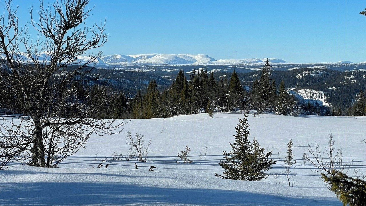 Photo of Others in Sor-Aurdal