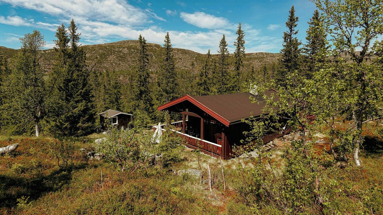 Photo of Outdoor in Vikberget