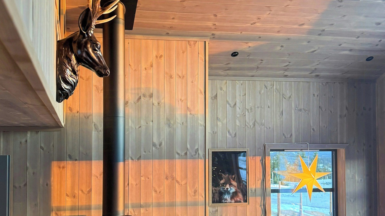 Photo of Livingroom in Sjusjoen