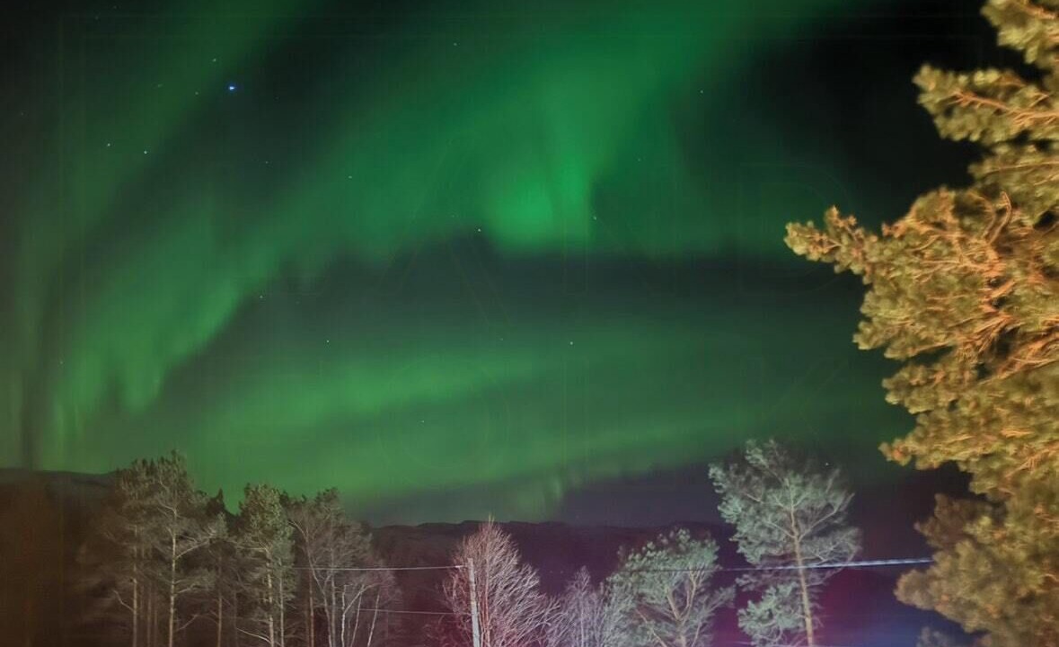 Photo of Others in Narvik