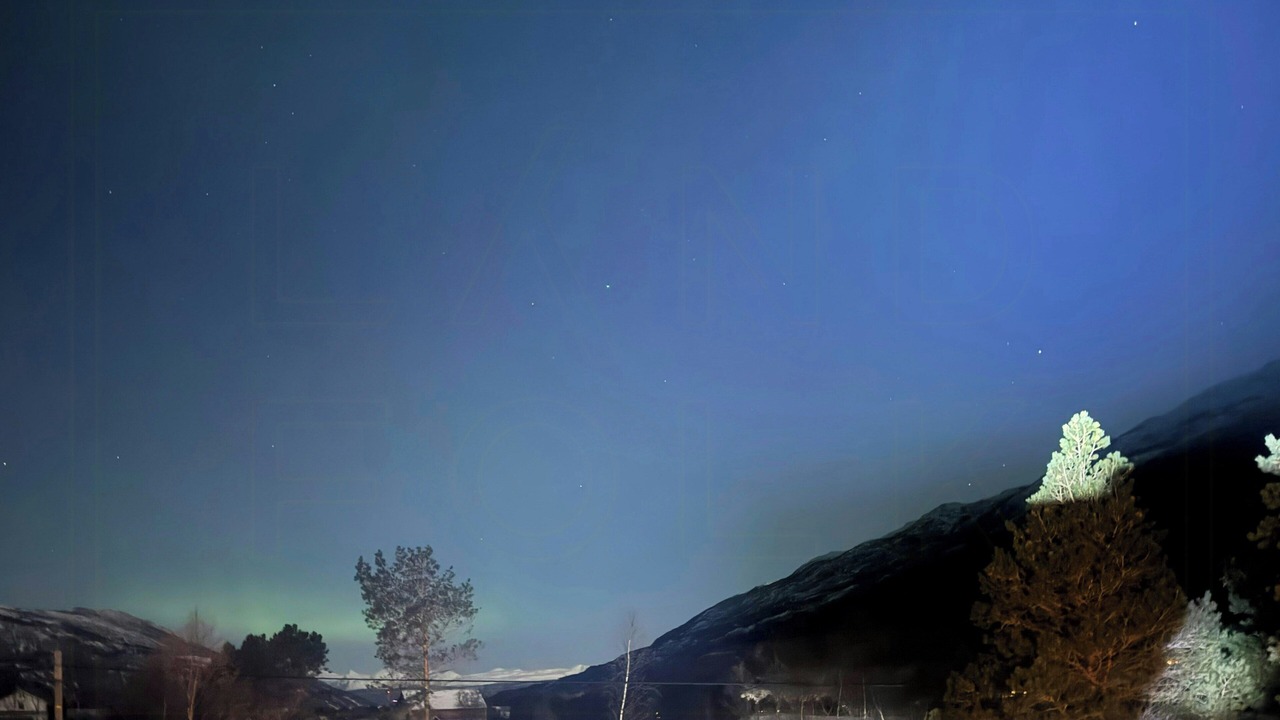 Photo of Others in Narvik