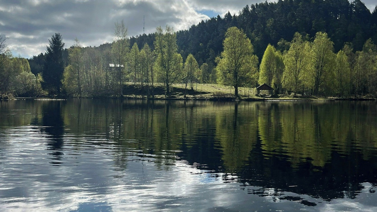 Photo of Others in Flora