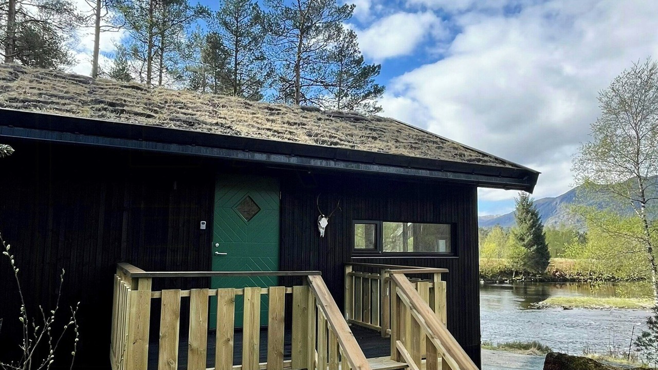 Photo of Outdoor in Flora