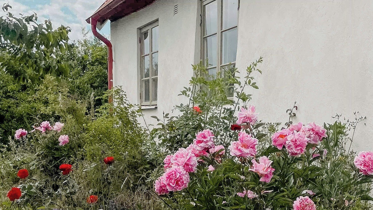Photo of Outdoor in Loderup