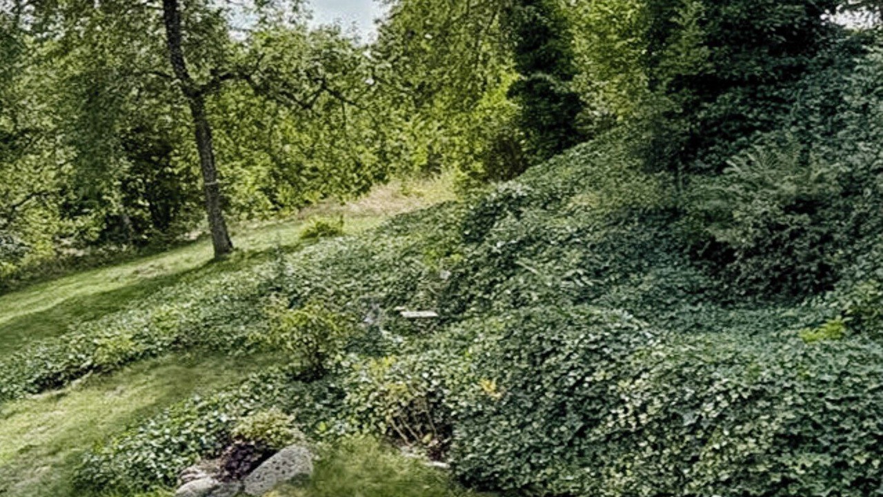 Photo of Outdoor in Kivik