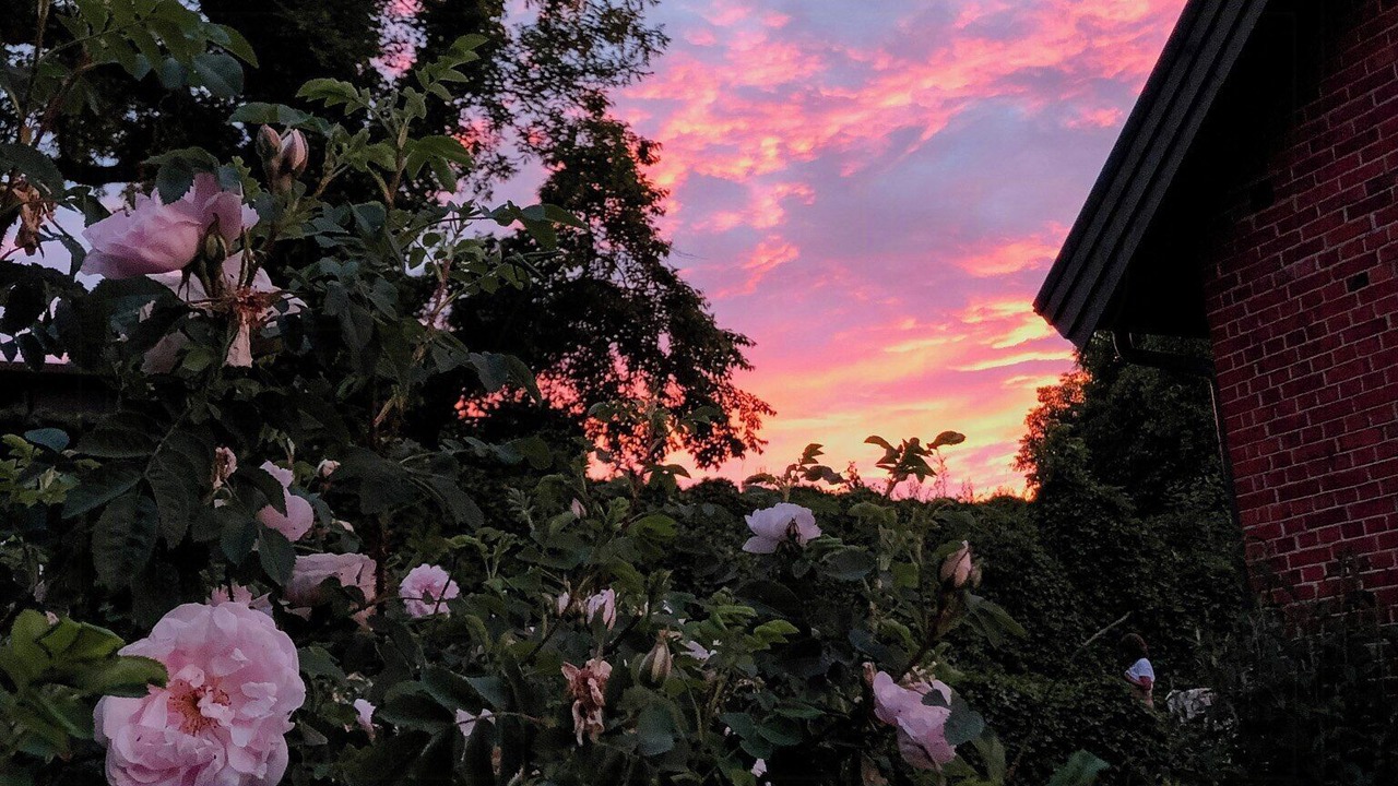 Photo of Outdoor in Kivik