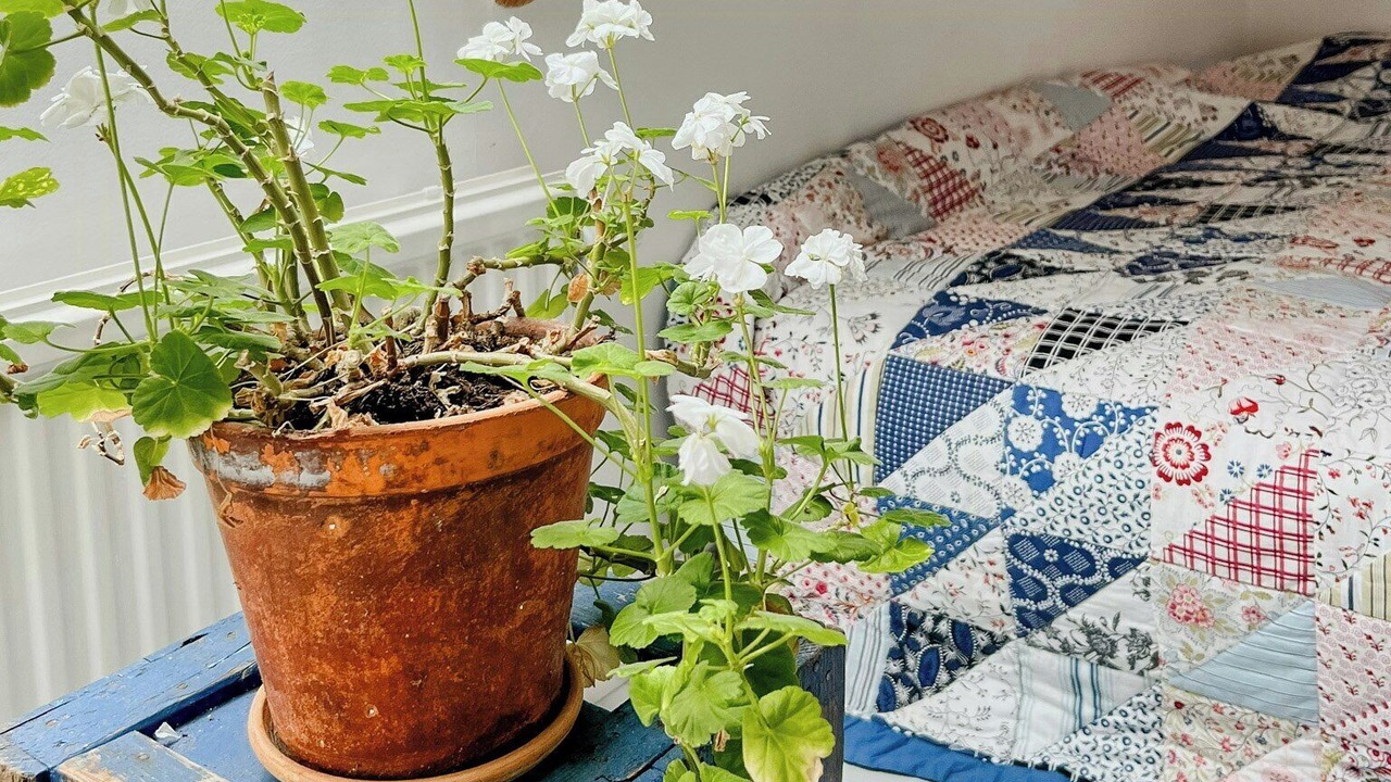 Photo of Bedroom in Kivik