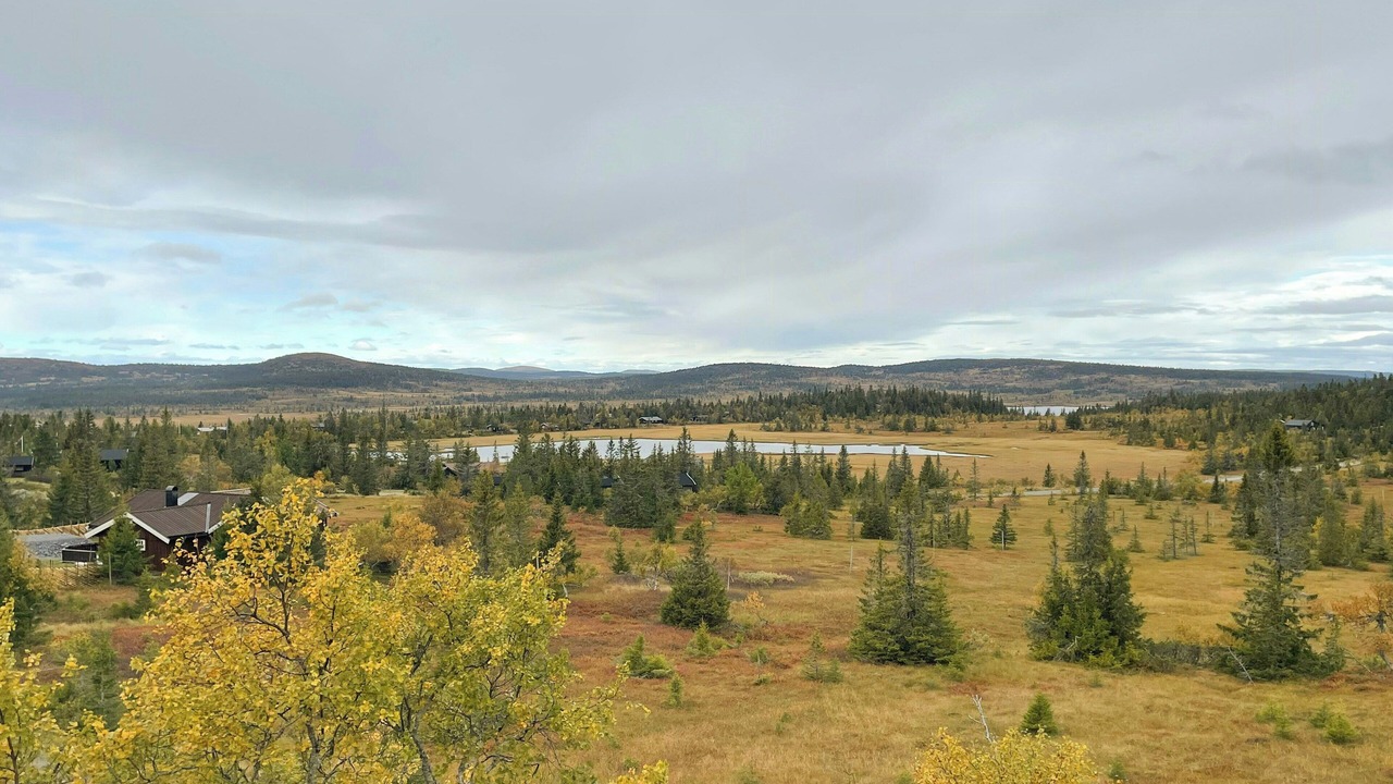 Photo of Outdoor in Ringsaker