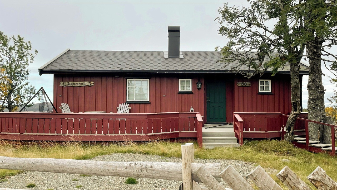 Photo of Outdoor in Ringsaker