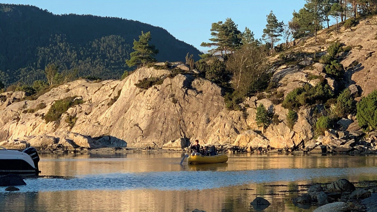 Photo of Others in Hervik
