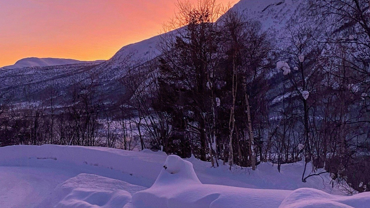 Photo of Others in Hemsedal