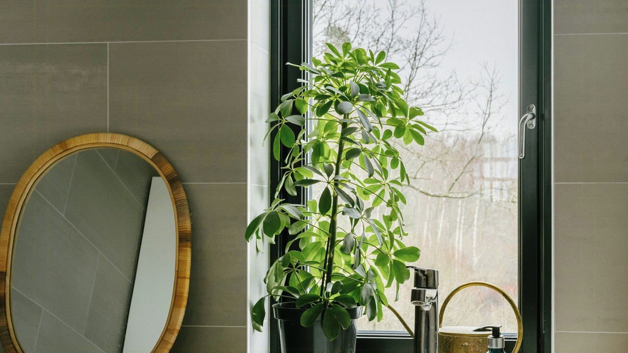 Photo of Bathroom in Ryssby