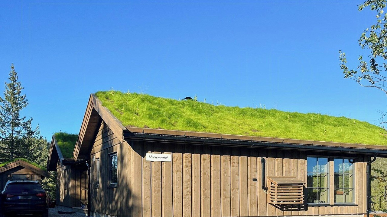Photo of Outdoor in Sigdal Municipality