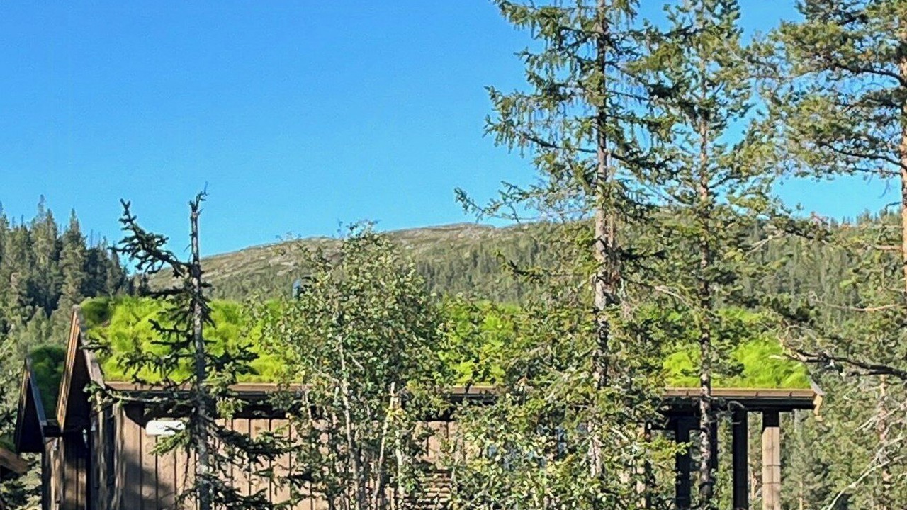 Photo of Outdoor in Sigdal Municipality