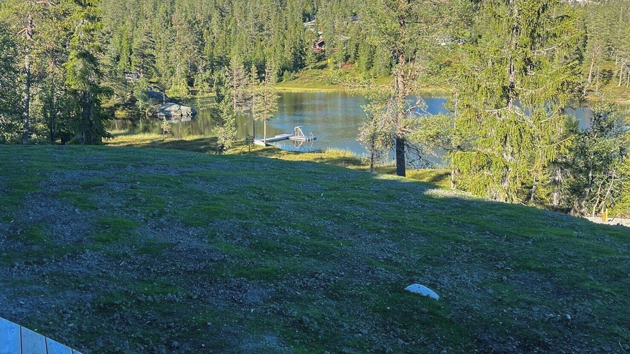 Photo of Outdoor in Sigdal Municipality