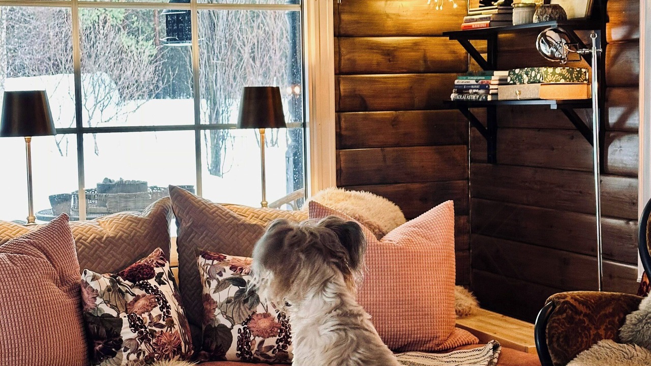 Photo of Livingroom in Nordreisa