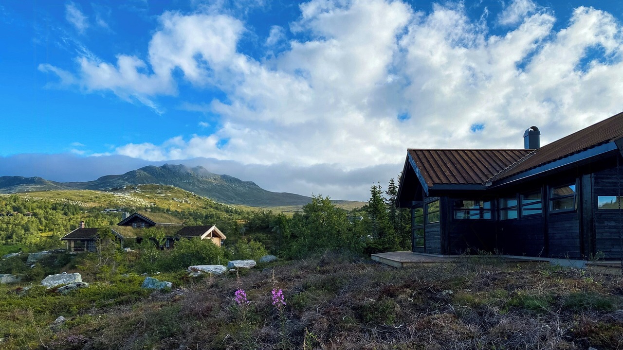 Photo of Outdoor in Fla Municipality