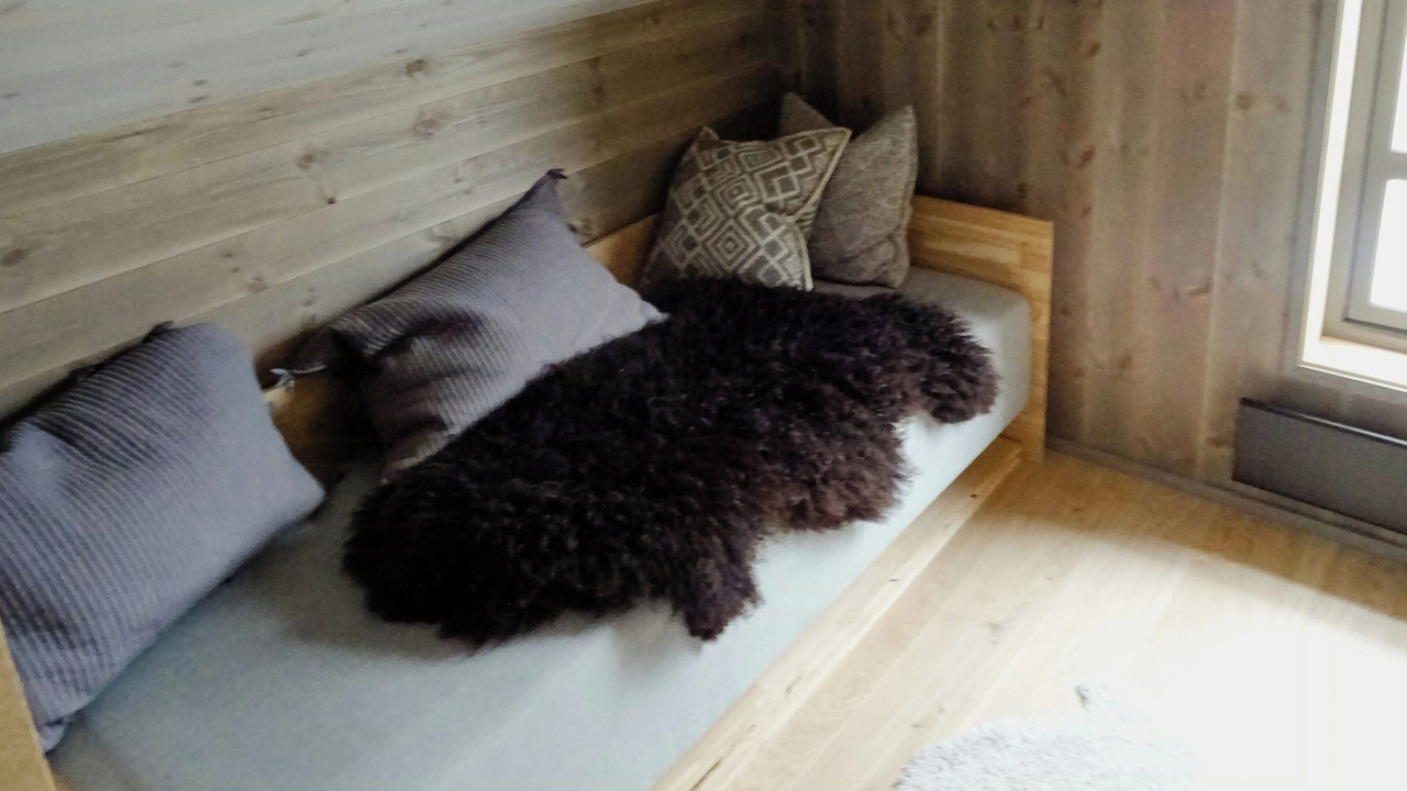 Photo of Others in Hemsedal
