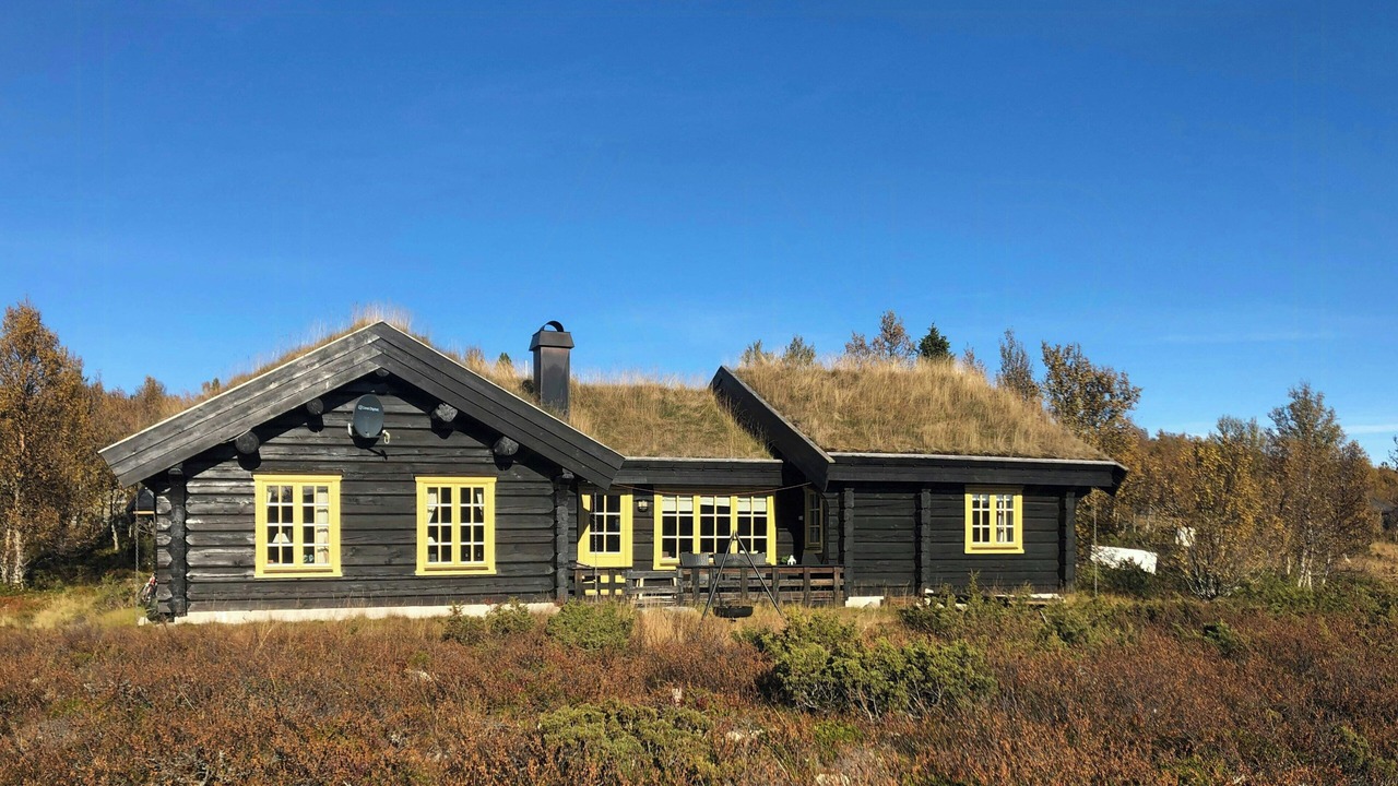Photo of Outdoor in Venabygd