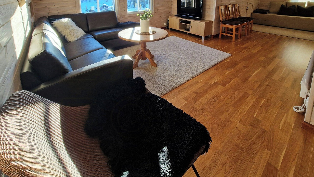 Photo of Livingroom in Nissedal