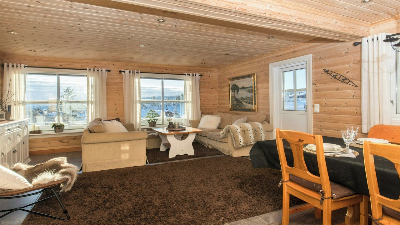 Photo of Livingroom in Nissedal