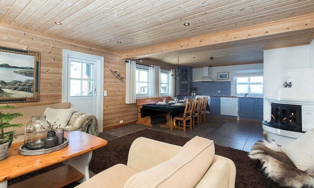 Photo of Livingroom in Nissedal
