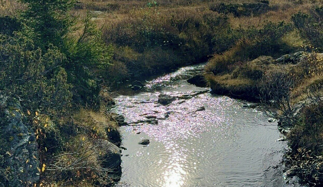 Photo of Others in Gol Municipality