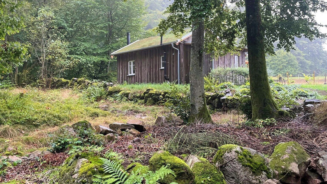 Photo of Outdoor in Kivik