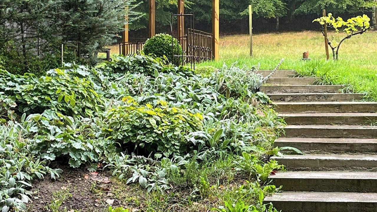 Photo of Outdoor in Kivik